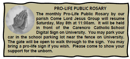 pro-life rosary