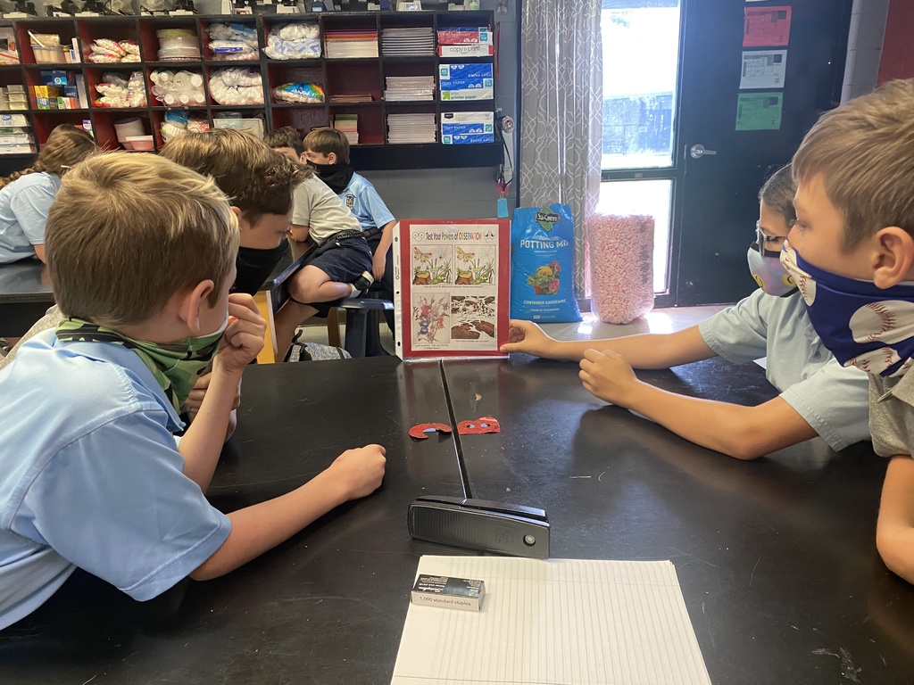 Testing our observation skills!