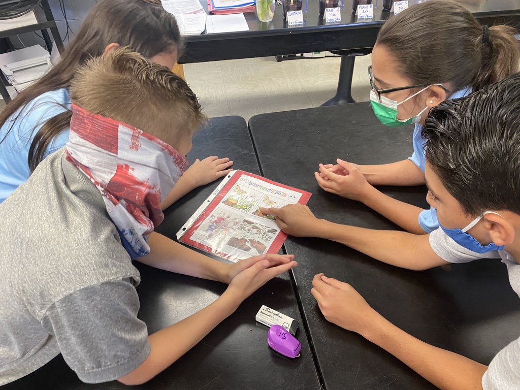 Testing our observation skills!