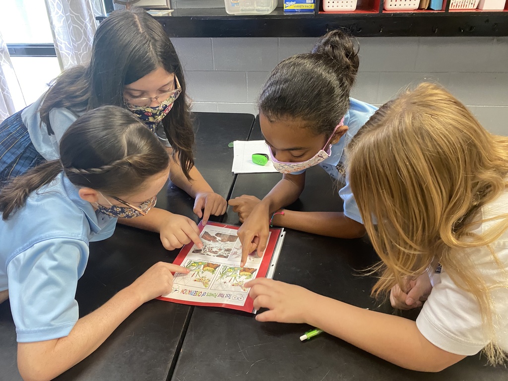 Testing our observation skills!