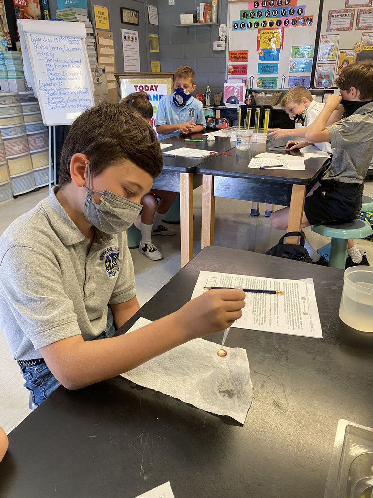 6th Grade CCS Scientists hard at work!